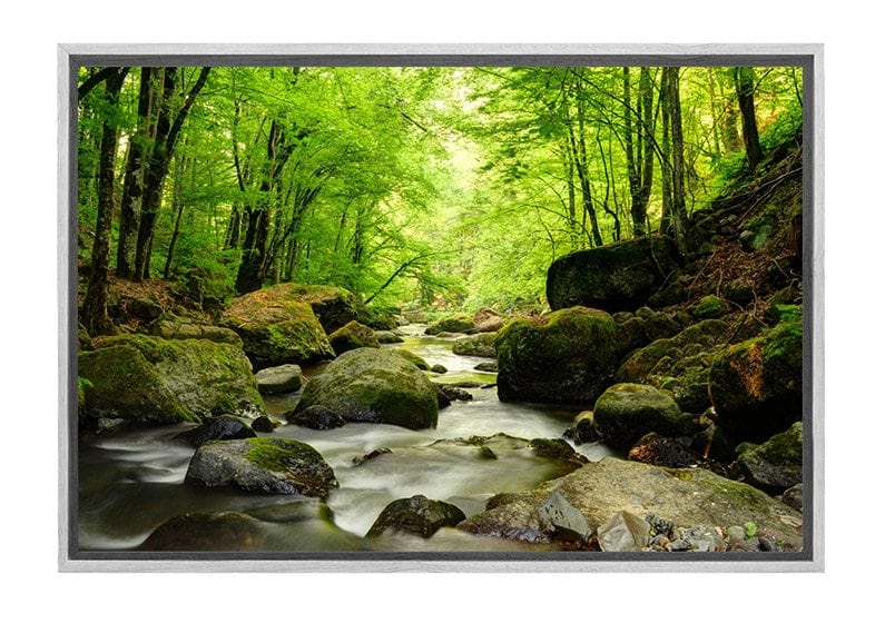 Spring order Forest Light - Acrylic Wall Art Print, 12