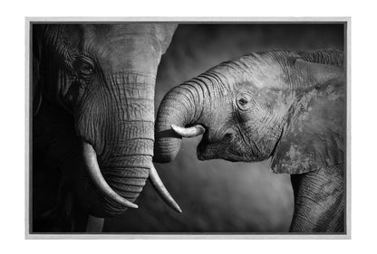 Elephant Touch | Canvas Wall Art Print