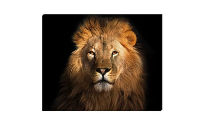 Lion 2 | Animal Canvas Wall Art Print