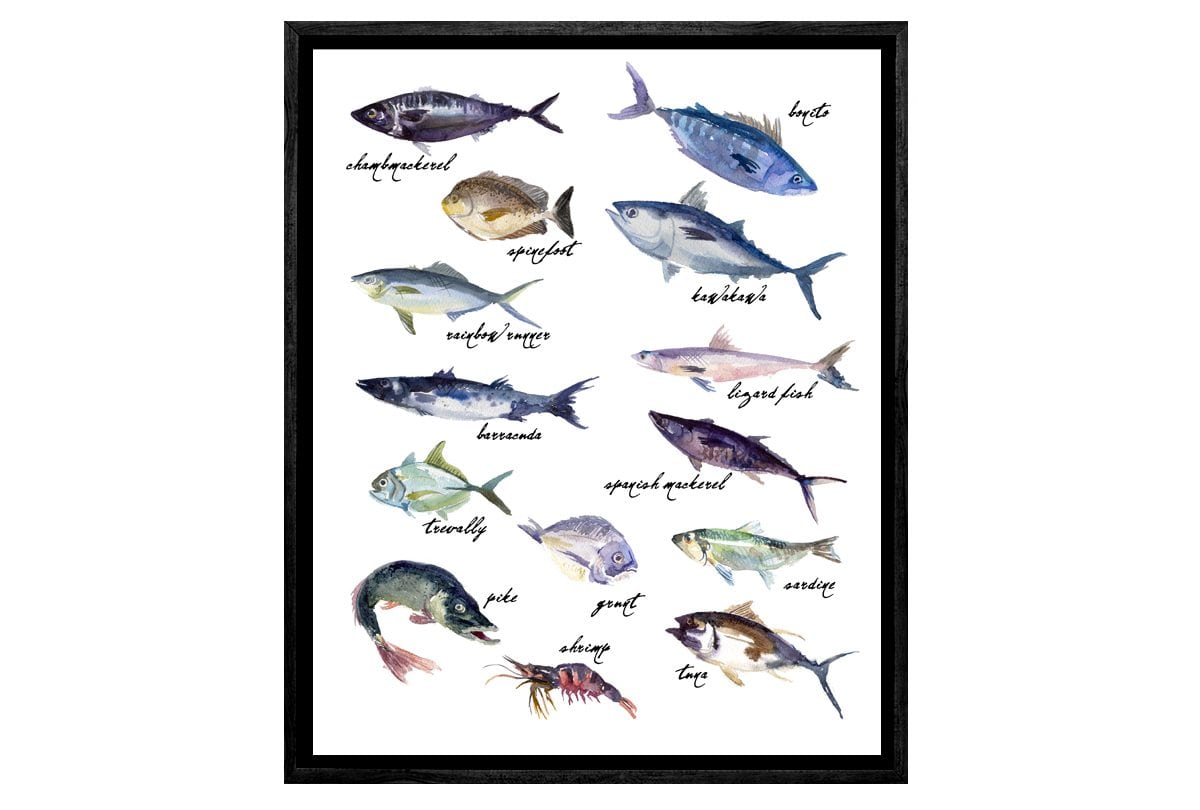 Fish 2 | Canvas Art Print