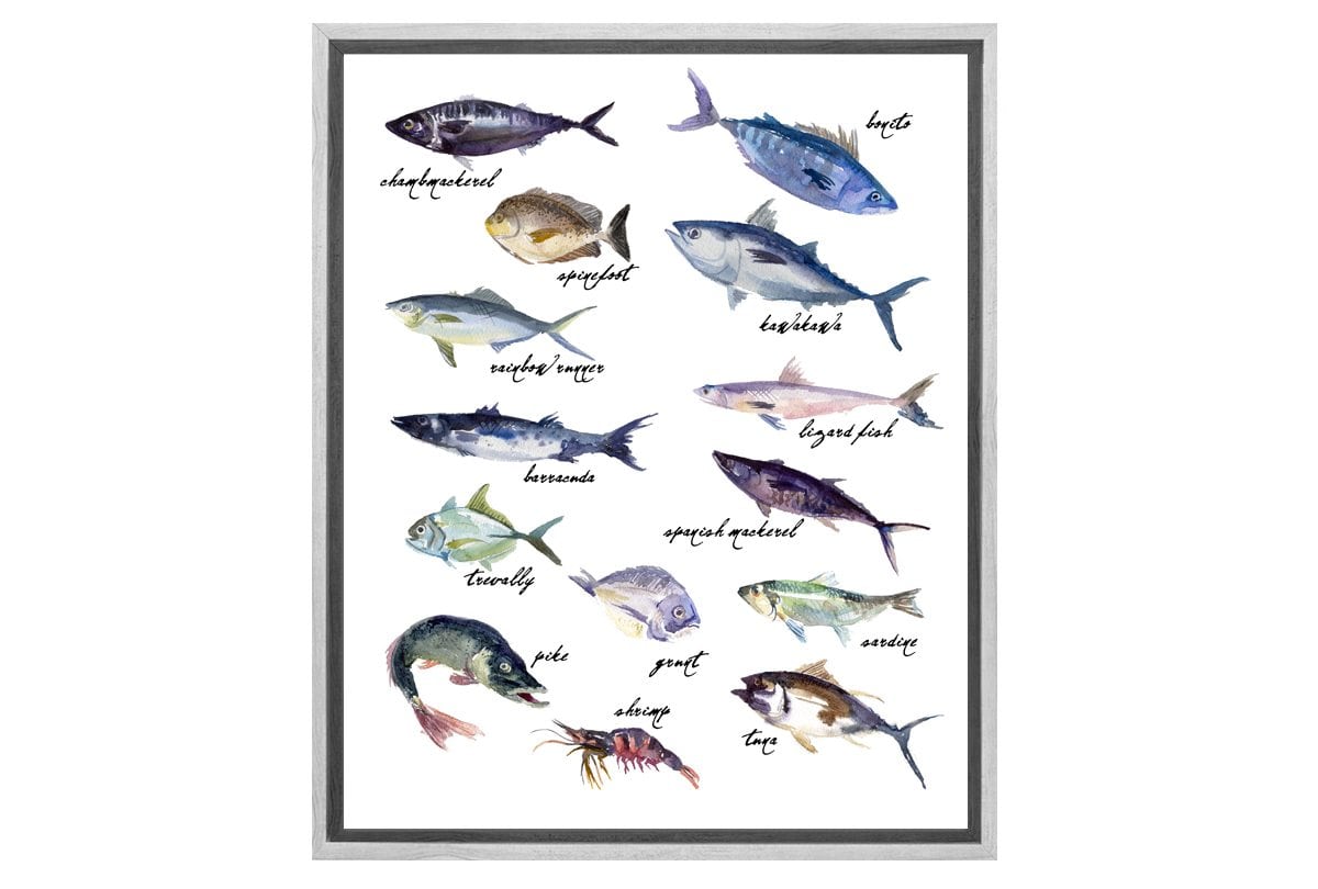 Fish 2 | Canvas Art Print