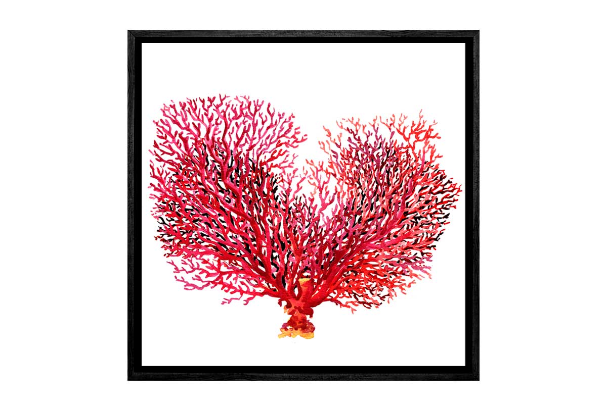 Red Fan Coral | Canvas Wall Art Print