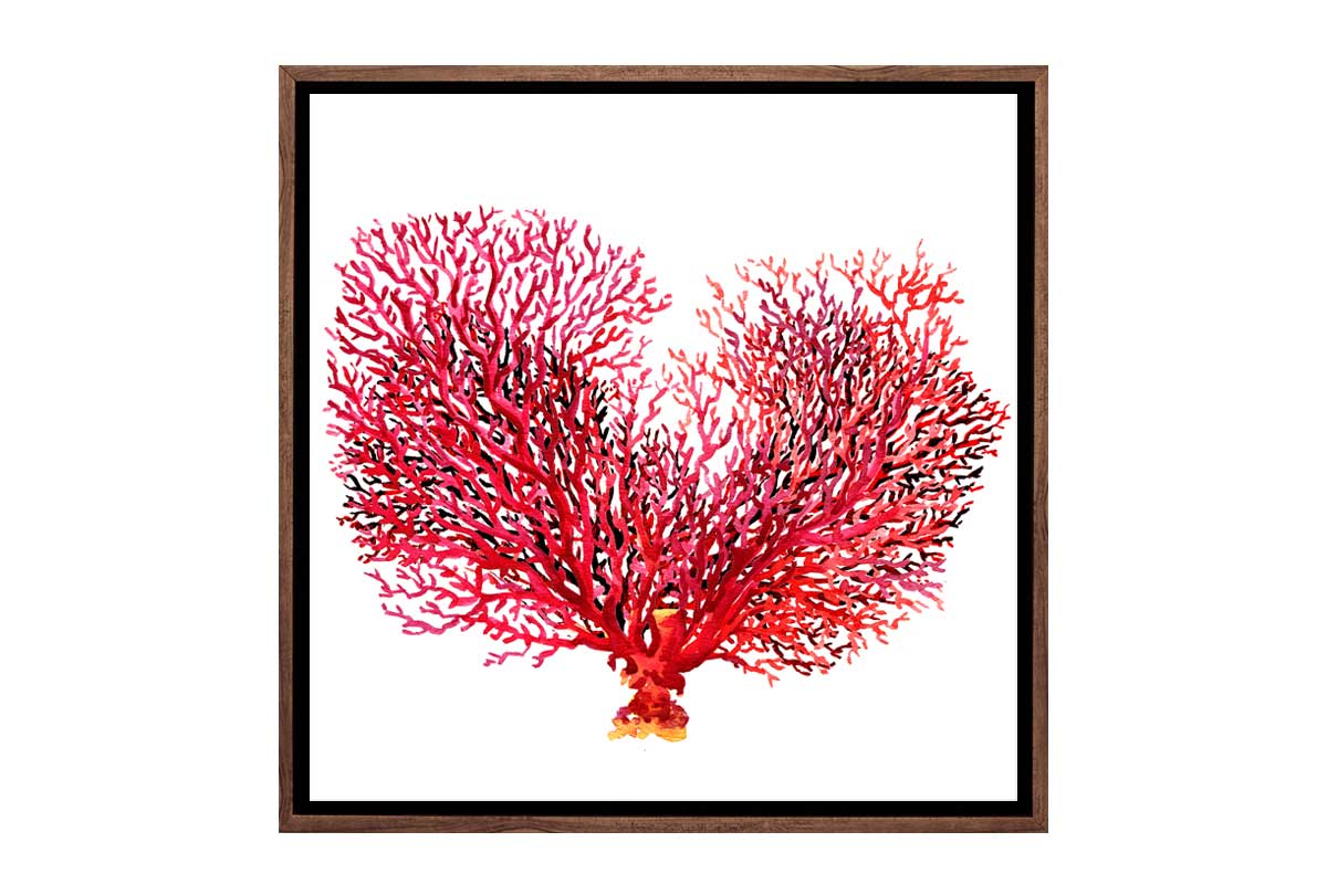 Red Fan Coral | Canvas Wall Art Print