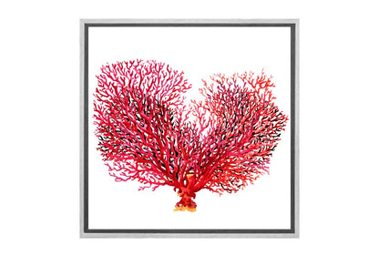 Red Fan Coral | Canvas Wall Art Print