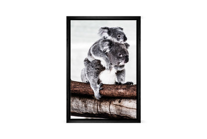 Mum and Baby Koala | Wall Art Print