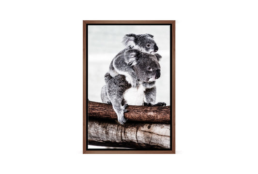 Mum and Baby Koala | Wall Art Print