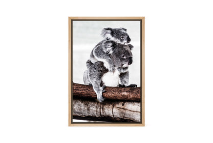 Mum and Baby Koala | Wall Art Print