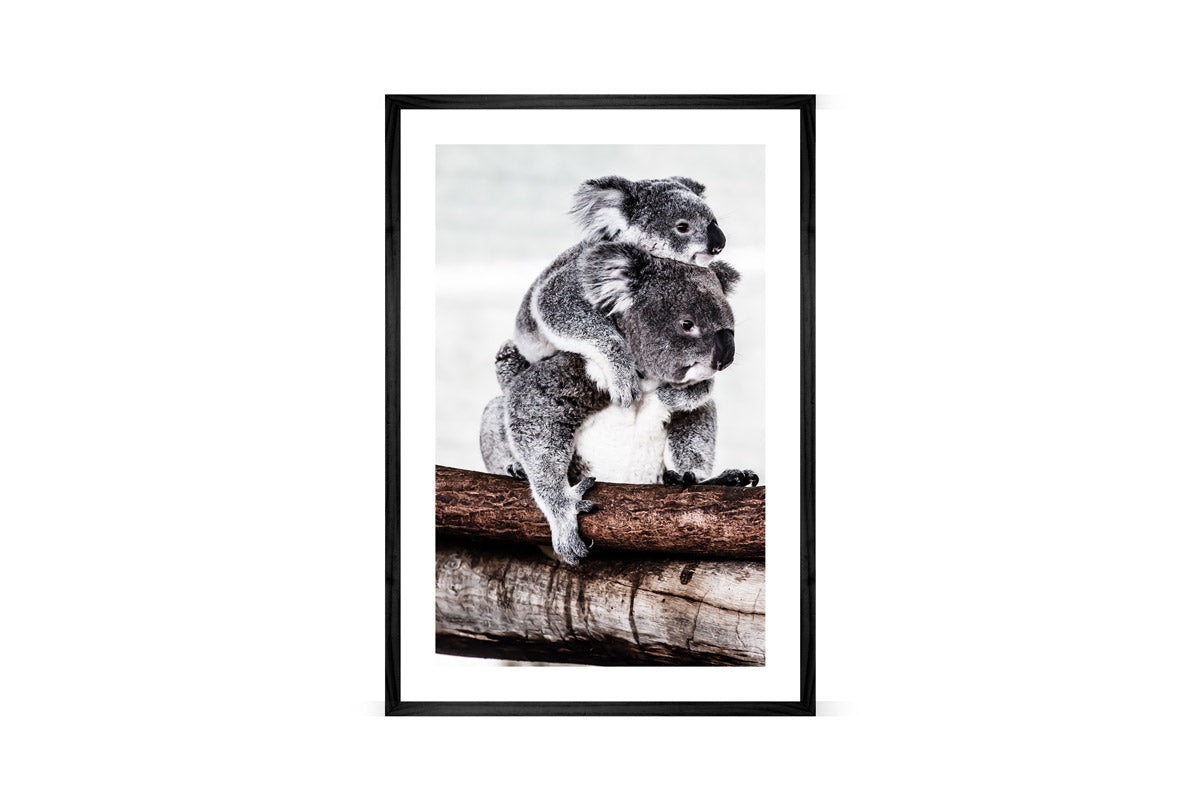 Mum and Baby Koala | Wall Art Print