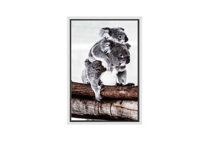 Mum and Baby Koala | Wall Art Print