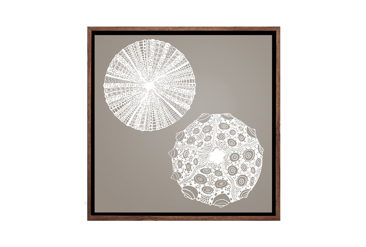 Anemone White on Beige | Canvas Wall Art Print