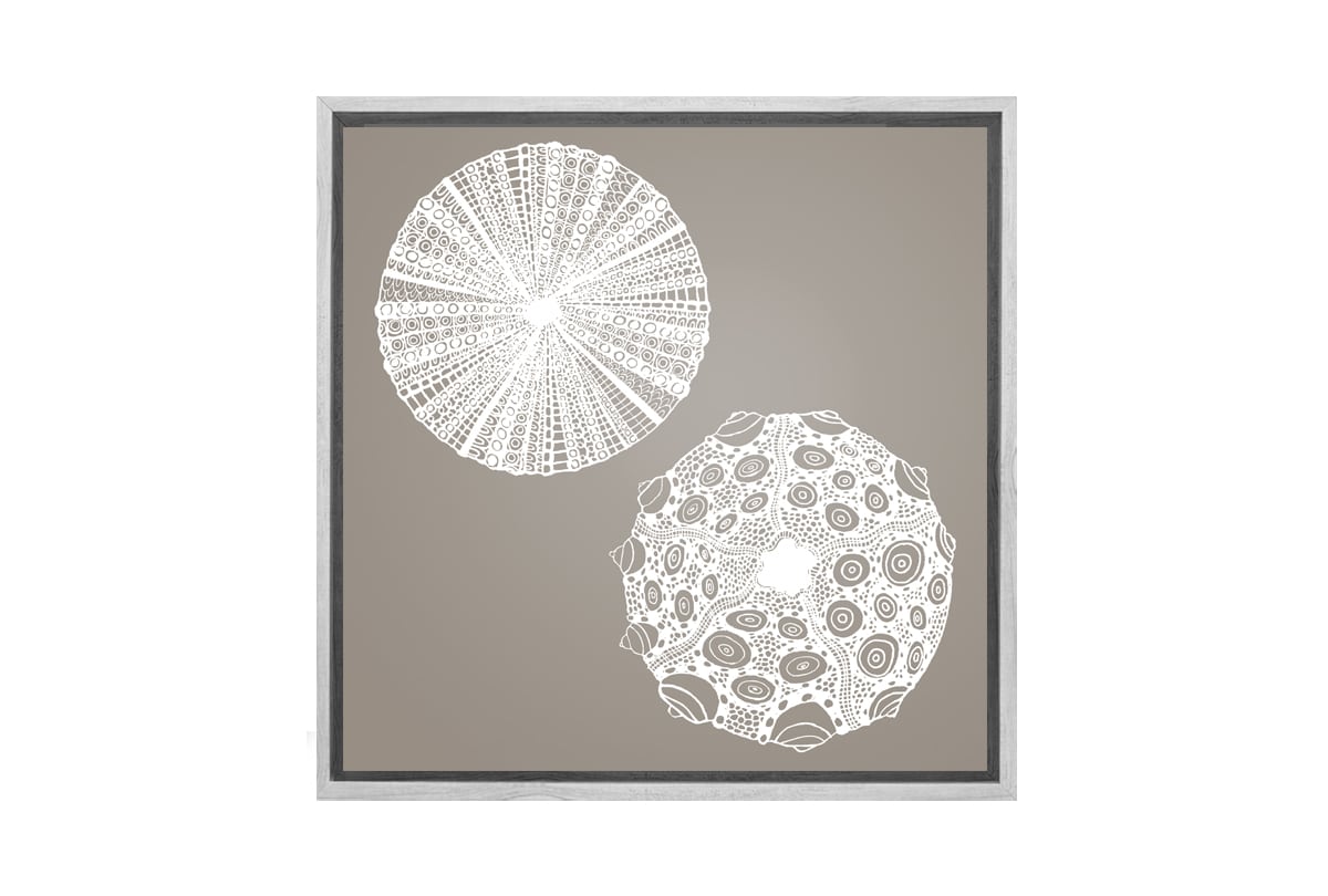 Anemone White on Beige | Canvas Wall Art Print