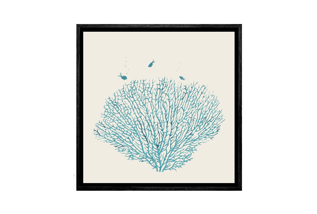 Fan Coral Turquoise | Canvas Wall Art Print