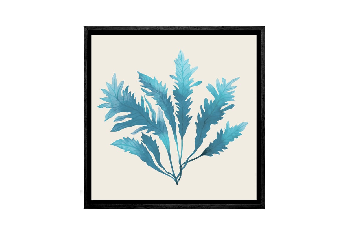 Seaweed Turquoise | Canvas Wall Art Print