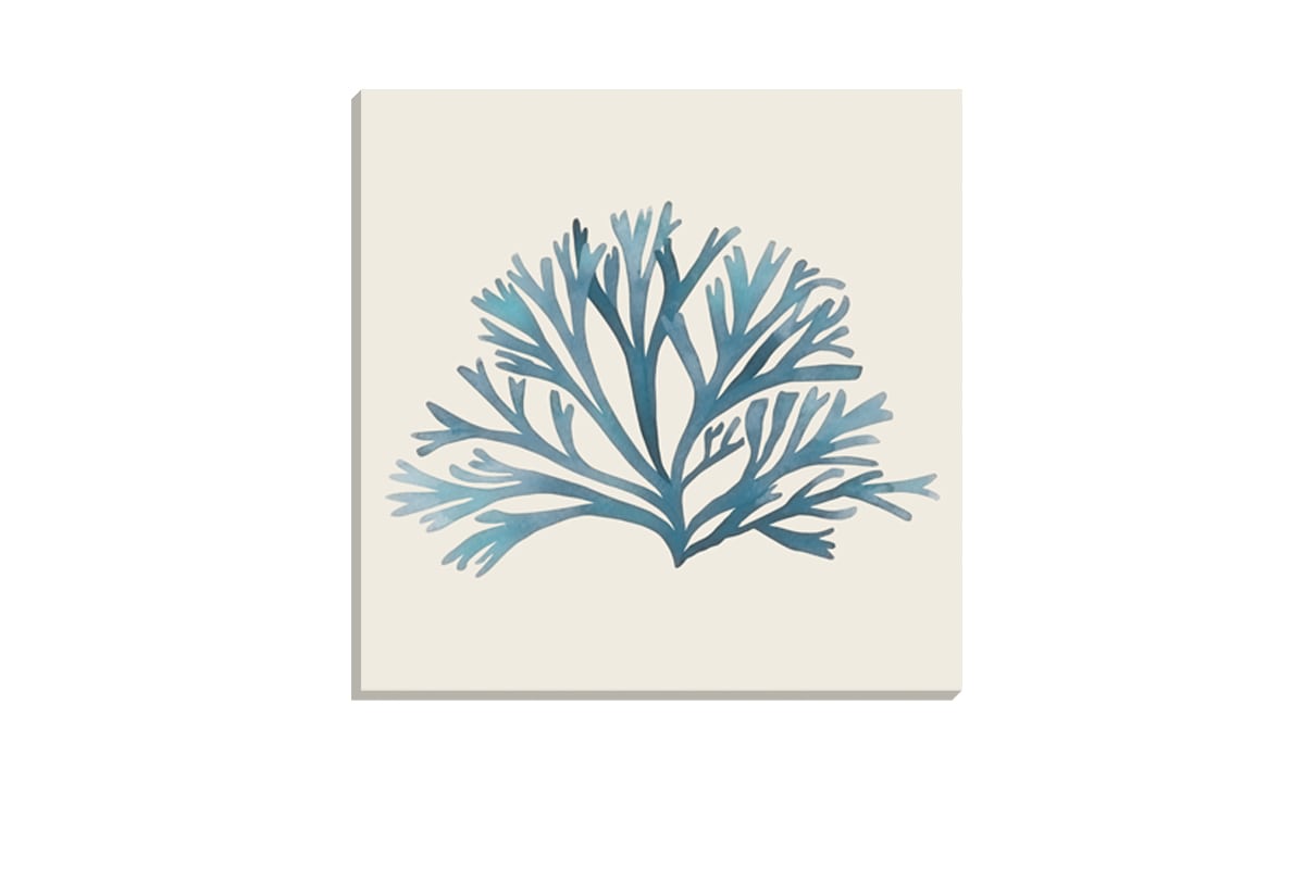 Seaweed 2 Turquoise | Canvas Wall Art Print