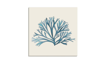 Seaweed 2 Turquoise | Canvas Wall Art Print