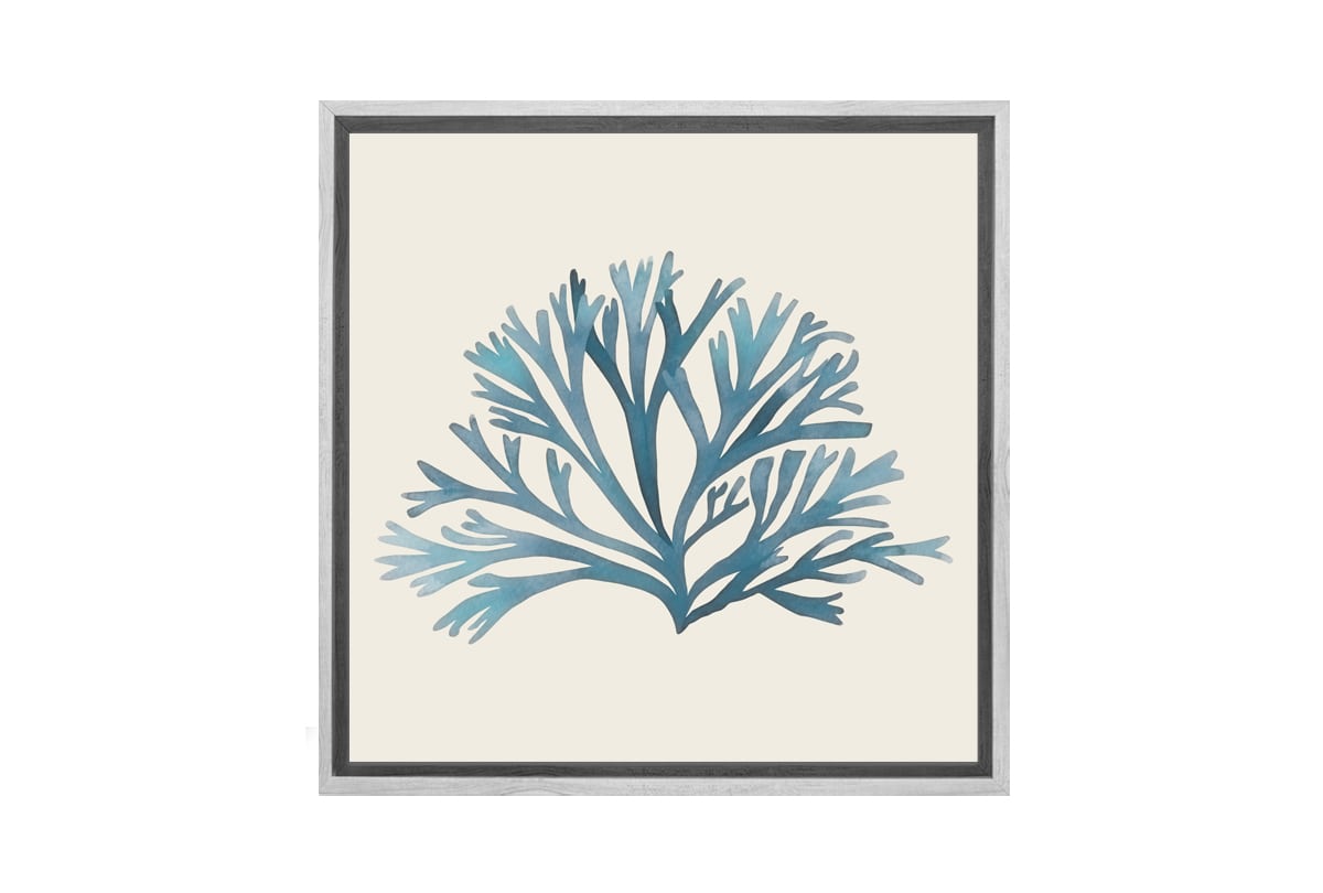 Seaweed 2 Turquoise | Canvas Wall Art Print