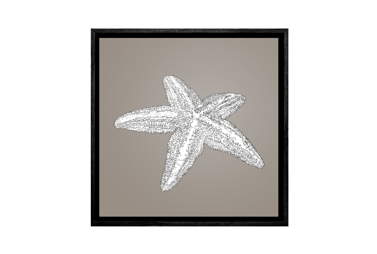 Star Fish White on Beige | Canvas Wall Art Print