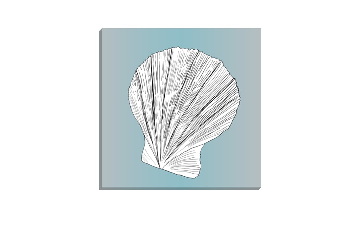 Shell 3 White on Teal | Canvas Wall Art Print