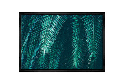 Palm Fronds | Canvas Wall Art Print