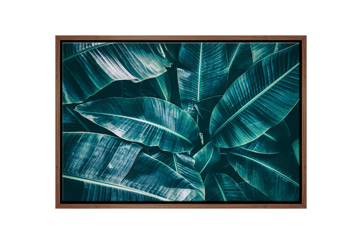 Banana Leaves Blue Tone | Canvas Wall Art Print