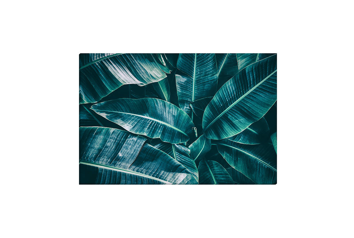 Banana Leaves Blue Tone | Canvas Wall Art Print