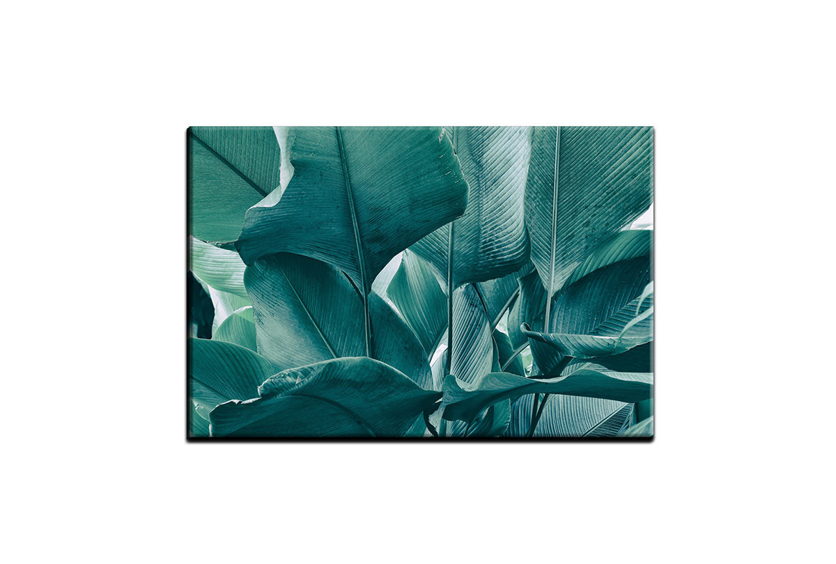 Tropical Leaves Blue Tone | Canvas Wall Art Print