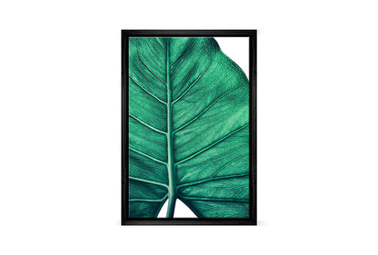 Tropical Leaf Close-Up | Canvas Wall Art Print