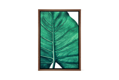 Tropical Leaf Close-Up | Canvas Wall Art Print