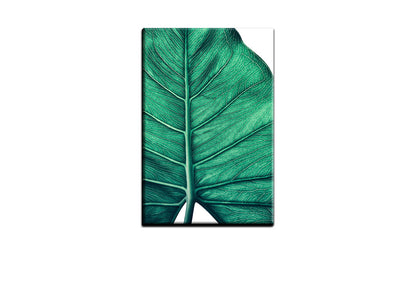 Tropical Leaf Close-Up | Canvas Wall Art Print