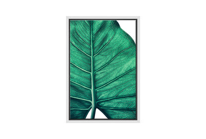 Tropical Leaf Close-Up | Canvas Wall Art Print