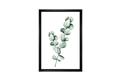 Eucalyptus Gum Leaves 1 | Canvas Wall Art Print