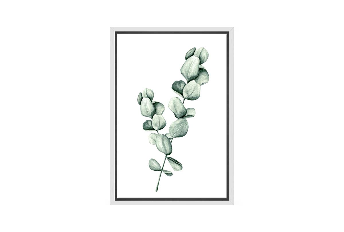 Eucalyptus Gum Leaves 1 | Canvas Wall Art Print