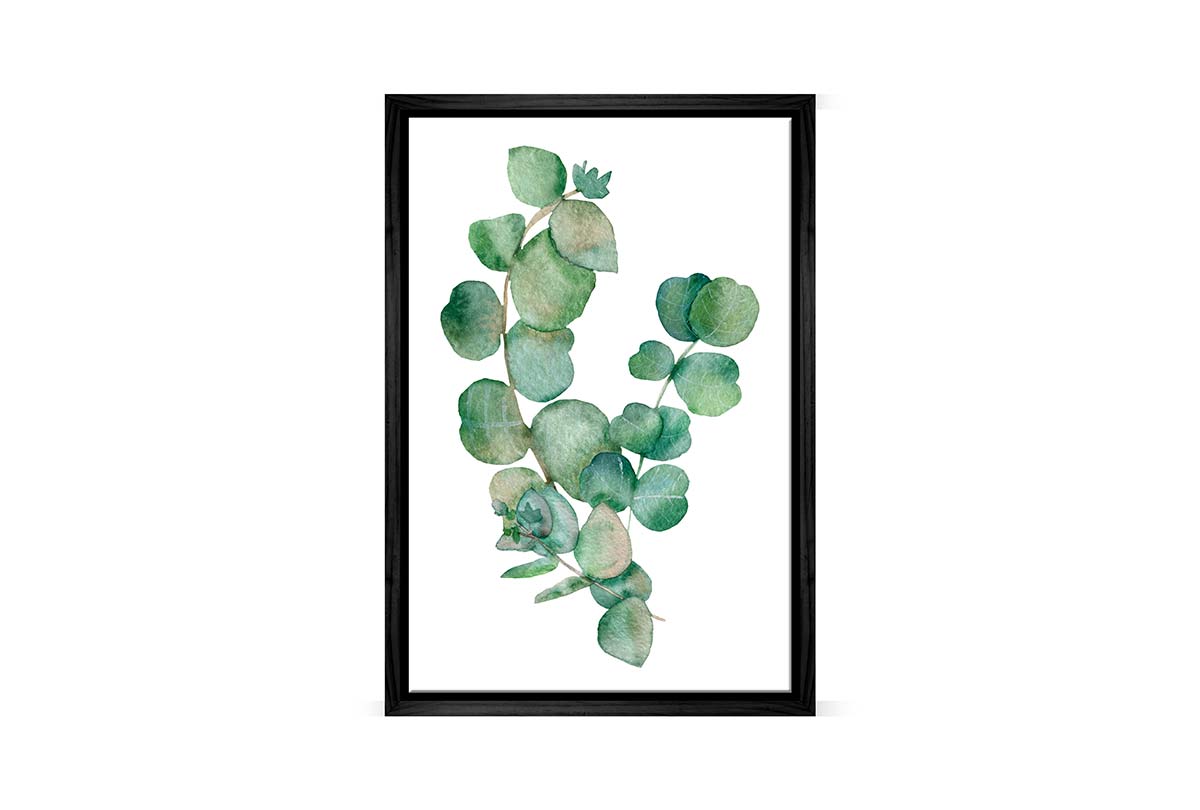 Eucalyptus Gum Leaves 2 | Canvas Wall Art Print