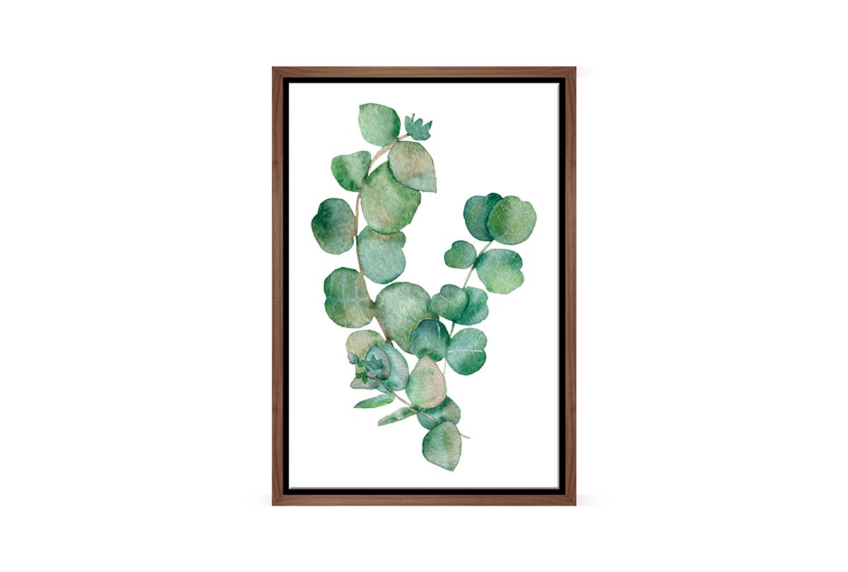 Eucalyptus Gum Leaves 2 | Canvas Wall Art Print