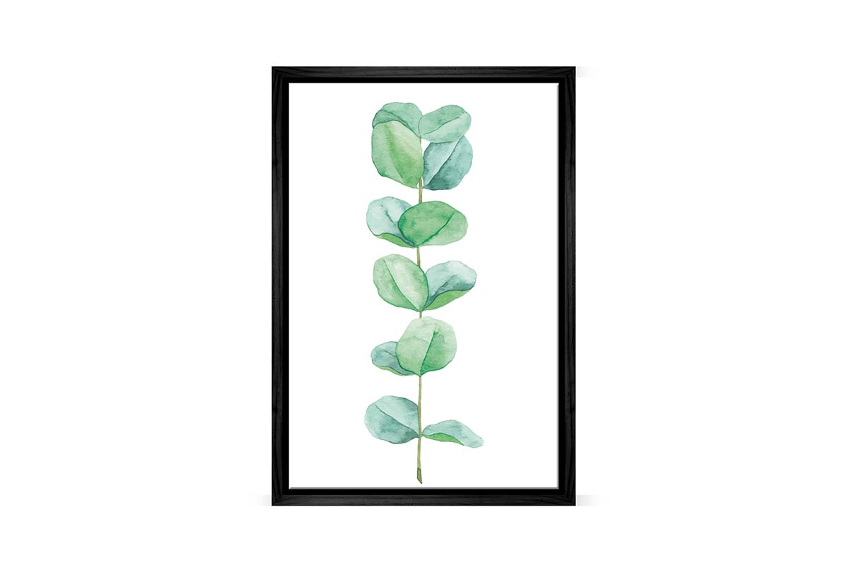 Eucalyptus Gum Leaves 4 | Canvas Wall Art Print