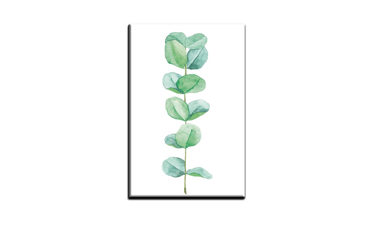 Eucalyptus Gum Leaves 4 | Canvas Wall Art Print