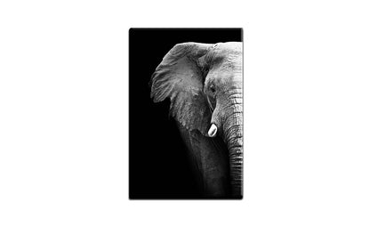 Elephant Close-Up | Animal Canvas Wall Art Print