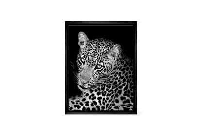 Cheetah Portrait | Animal Canvas Wall Art Print