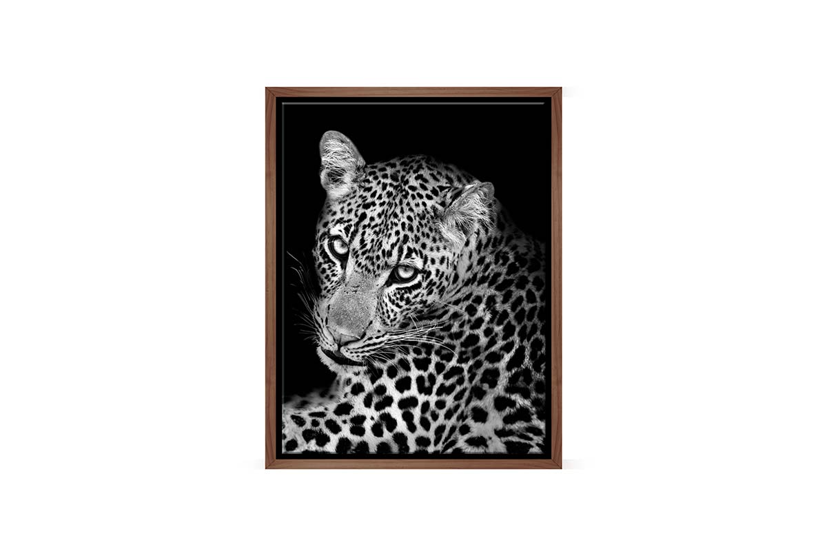 Cheetah Portrait | Animal Canvas Wall Art Print