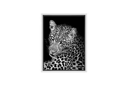 Cheetah Portrait | Animal Canvas Wall Art Print