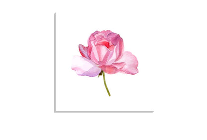 Pink Rose in Watercolour | Floral Canvas Wall Art Print