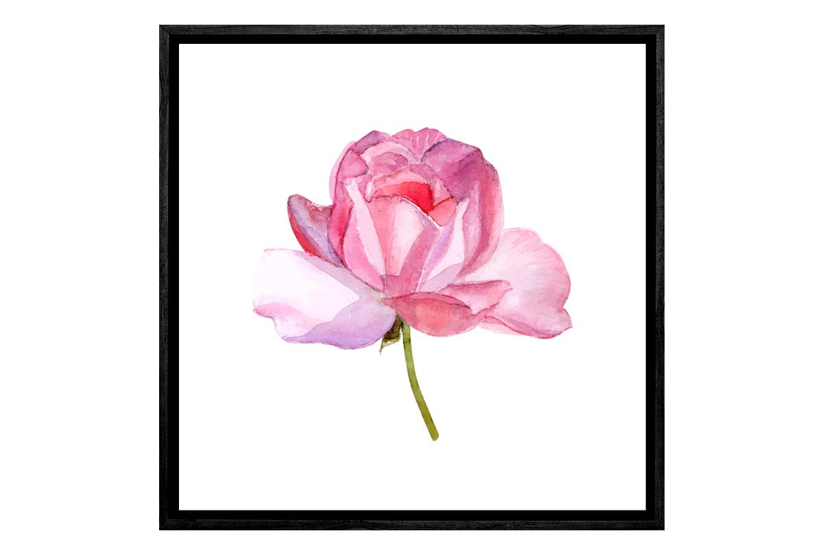 Peonies, Floral Wall Art, Flowers, 16 x 20, Pink Flowers, Roses, Floral Painting Print on Paper, Watercolor Paper offers Print with one inch border