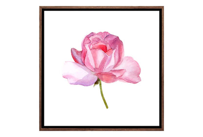 Pink Rose in Watercolour | Floral Canvas Wall Art Print