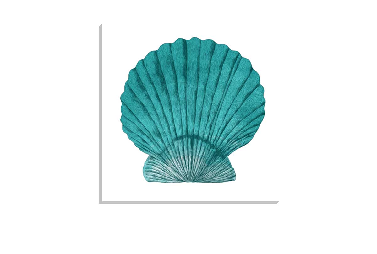 Turquoise Sea Shell | Shell Wall Art Print