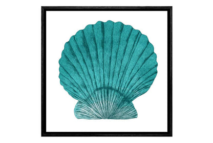 Turquoise Sea Shell | Shell Wall Art Print