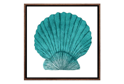 Turquoise Sea Shell | Shell Wall Art Print