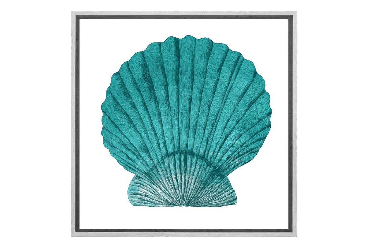 Turquoise Sea Shell | Shell Wall Art Print