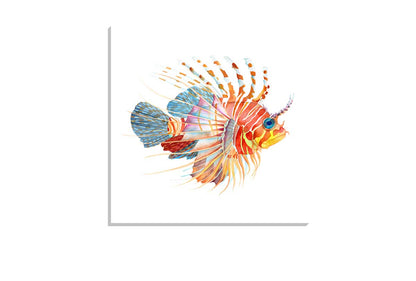 Tiger Fish Watercolour | Wall Art Print