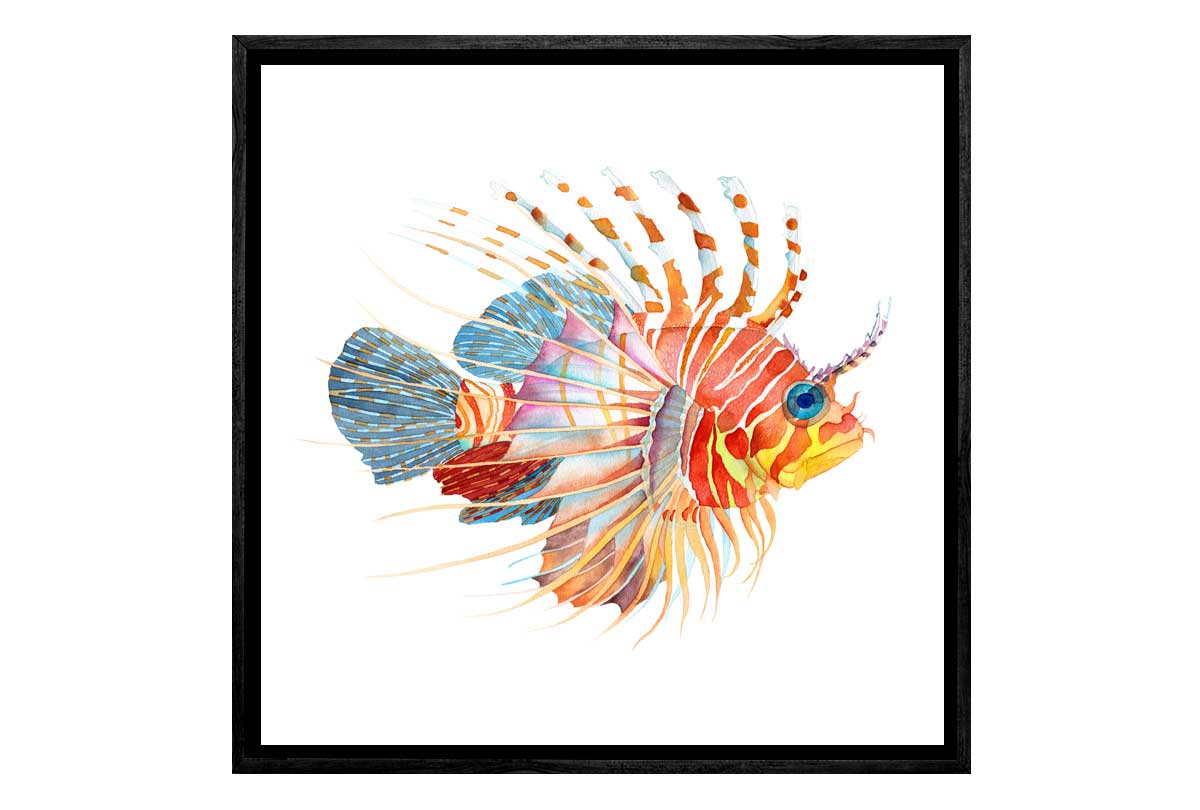 Tiger Fish Watercolour | Wall Art Print