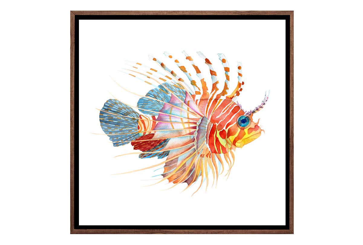 Tiger Fish Watercolour | Wall Art Print